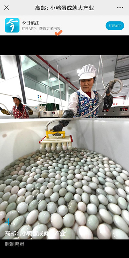 高郵鴨集團(tuán)受到多家主流媒體聚焦報(bào)道 (2)_副本.jpg