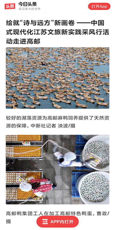 高郵鴨集團(tuán)受到多家主流媒體聚焦報(bào)道 (1)_副本.jpg