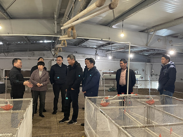 省科技廳對“高郵鴨優(yōu)異基因挖掘及節(jié)糧肉用新品系選育項(xiàng)目”開展中期檢查 (3)_副本.jpg
